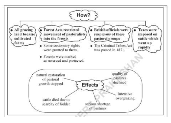 Notes Chapter 5 Pastoralists in the Modern World