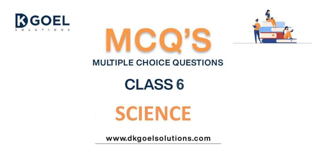 MCQs-for-Science-Class-6-with-Answers.jpg