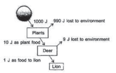 Chapter 15 Our Environment Class 10 Science Notes