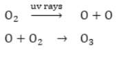 Chapter 15 Our Environment Class 10 Science Notes