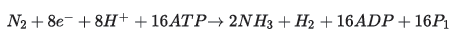 Notes Chapter 12 Mineral Nutrition