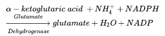 Notes Chapter 12 Mineral Nutrition