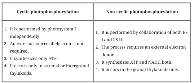 Notes Chapter 13 Photosynthesis in Higher Plants