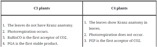 Notes Chapter 13 Photosynthesis in Higher Plants