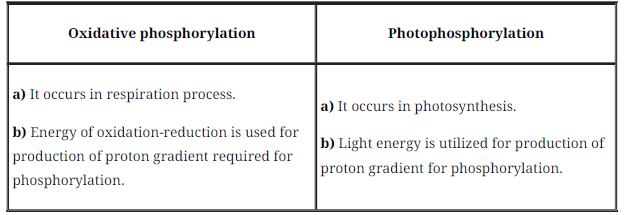 Notes Chapter 14 Respiration in Plants