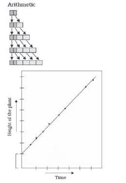 Notes Chapter 15 Plant Growth and Development