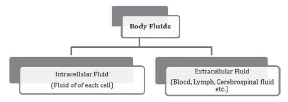 Notes Chapter 18 Body Fluids and Circulation