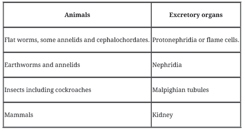 Notes Chapter 19 Excretory Products and their Elimination