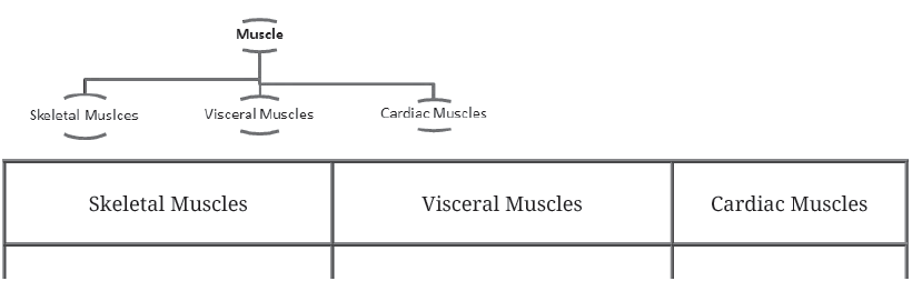 Notes Chapter 20 Locomotion and Movement