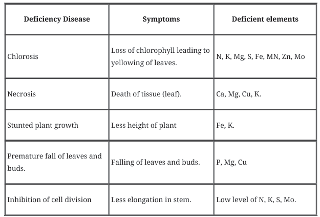 Notes Chapter 12 Mineral Nutrition