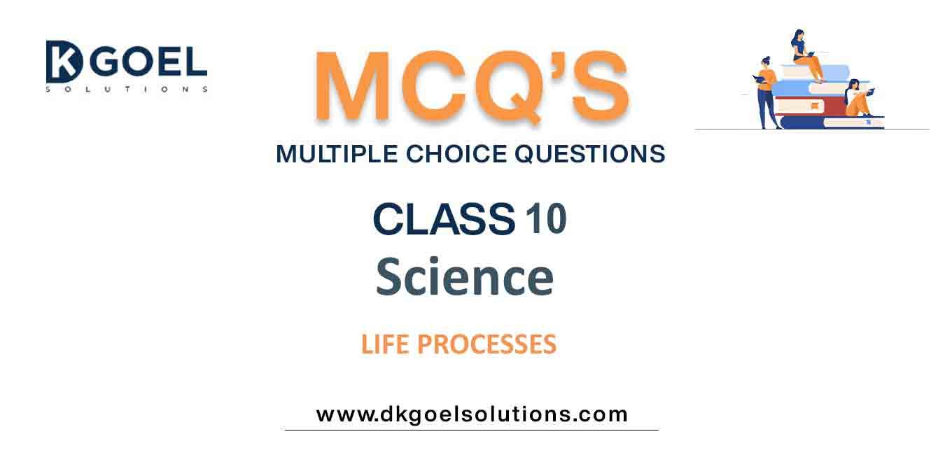 MCQ Questions Class 10 Science Life Processes