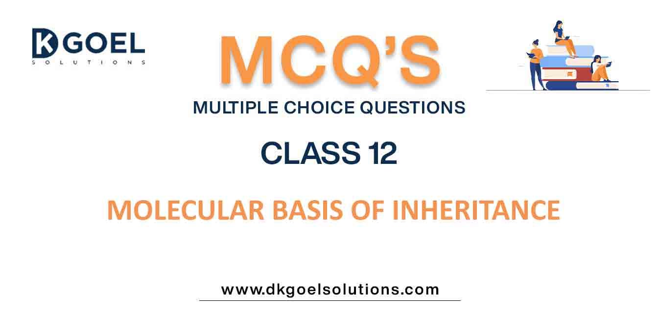 Mcq Questions Class 12 Biology Molecular Basis Of Inheritance