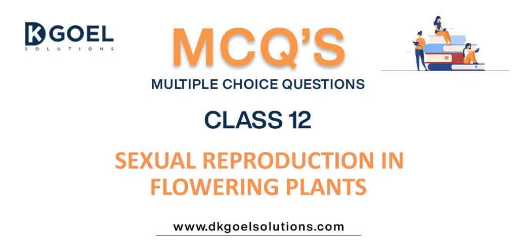 MCQs-for-Biology-Class-12-with-Answers-Chapter-2-Sexual-Reproduction-in-Flowering-Plants.jpg