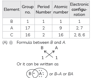 Exam Question for Class 10 Science Chapter 5 Periodic Classification of Elements