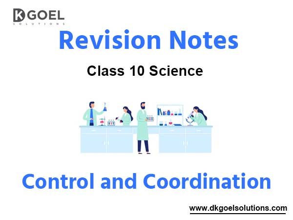 Chapter 7 Control and Coordination Class 10 Science Notes