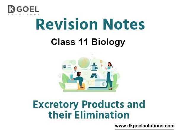 Notes Chapter 19 Excretory Products and their Elimination