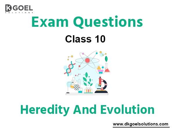 Exam Question for Class 10 Science Chapter 9 Heredity And Evolution
