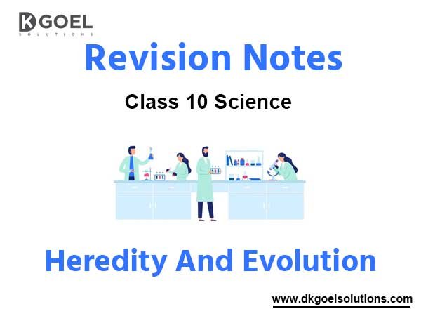 heredity and evolution class 10 notes