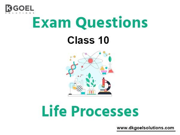 Exam Question for Class 10 Science Chapter 6 Life Processes