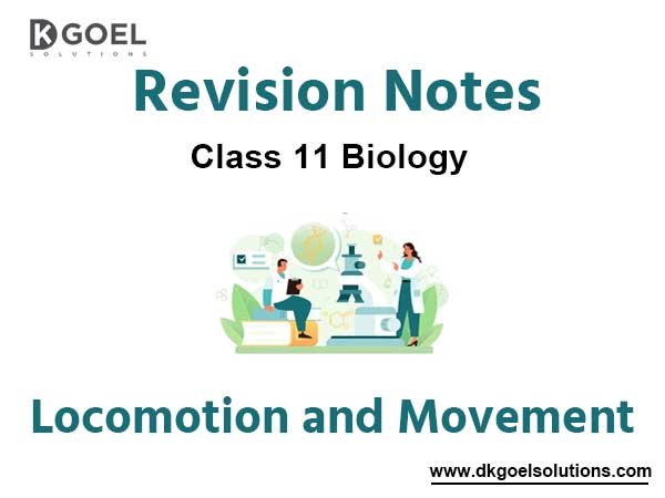Notes Chapter 20 Locomotion and Movement