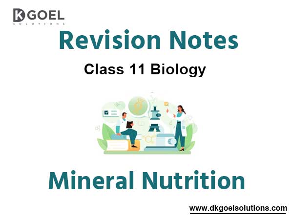 Notes Chapter 12 Mineral Nutrition