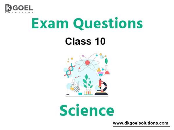 Science Class 10 Exam Questions