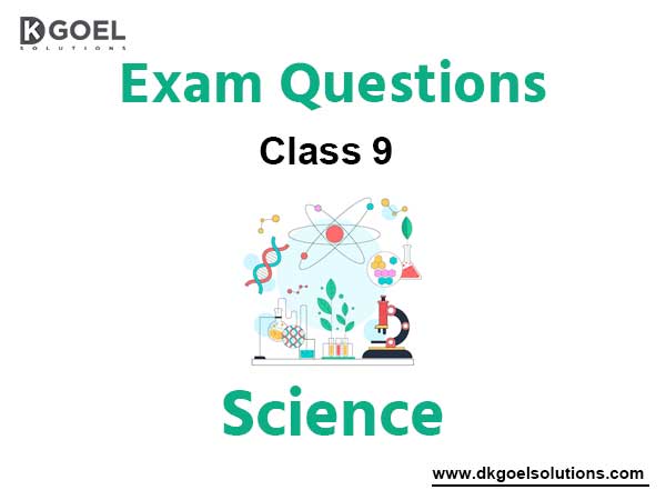 Science Class 9 Exam Questions