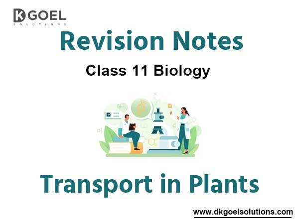 Notes Chapter 11 Transport in Plants