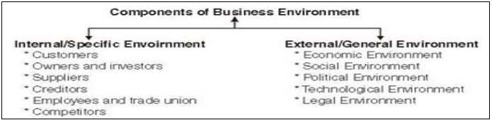 Notes Chapter 3 Business Environment