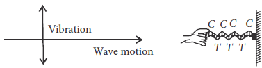 MCQs for Physics Class 11 with Answers Chapter 15 Waves