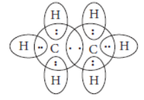 Exam Question for Class 10 Science Chapter 4 Carbon and Its Compound