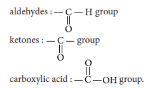 Exam Question for Class 10 Science Chapter 4 Carbon and Its Compound