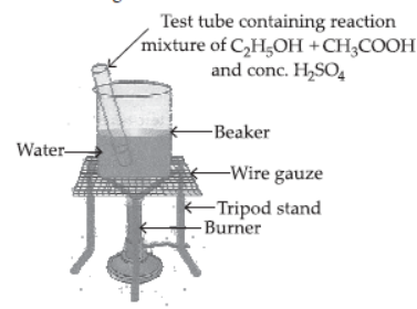 Exam Question for Class 10 Science Chapter 4 Carbon and Its Compound