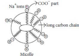 Exam Question for Class 10 Science Chapter 4 Carbon and Its Compound