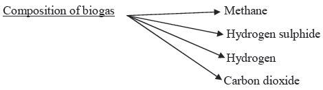 Chapter 14 Sources of Energy Class 10 Science Notes
