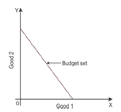 Notes Chapter 2 Theory of Consumer Behaviour