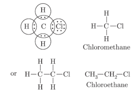 Exam Question for Class 10 Science Chapter 4 Carbon and Its Compound