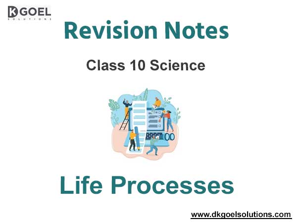 Chapter 6 Life Processes Class 10 Science Notes