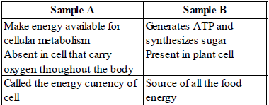 Exam Question for Class 11 Biology Chapter 8 Cell The Unit of Life
