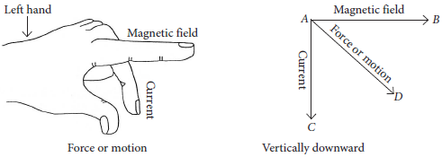 Sample Paper Class 10 Science Term 2 Set C