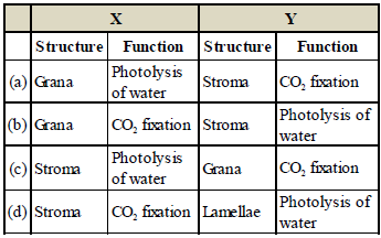 Exam Question for Class 11 Biology Chapter 13 Photosynthesis in Higher Plants