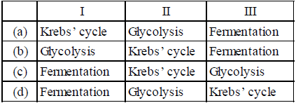 Exam Question for Class 11 Biology Chapter 14 Respiration in Plants