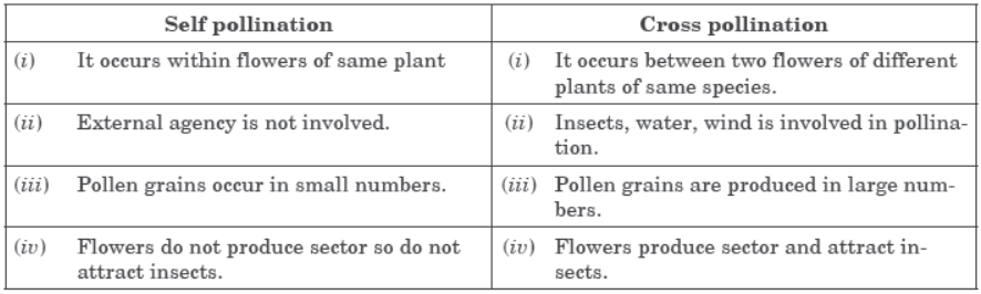 Sample Paper Class 10 Science Term 2 Set E