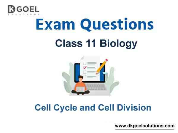 Exam Question for Class 11 Biology Chapter 10 Cell Cycle and Cell Division