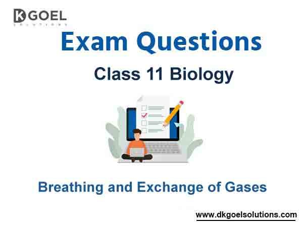Exam Question for Class 11 Biology Chapter 17 Breathing and Exchange of Gases
