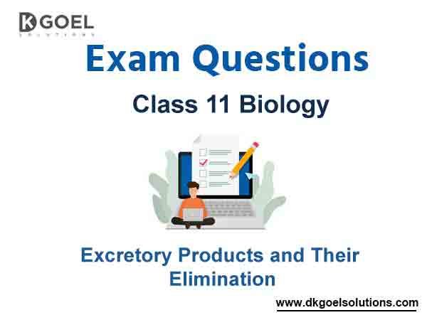 Exam Question for Class 11 Biology Chapter 19 Excretory Products and Their Elimination