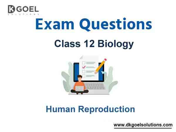 Exam Question for Class 12 Biology Chapter 3 Human Reproduction