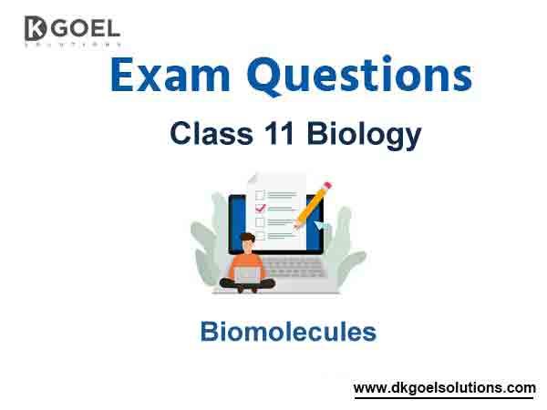 Exam Question for Class 11 Biology Chapter 9 Biomolecules