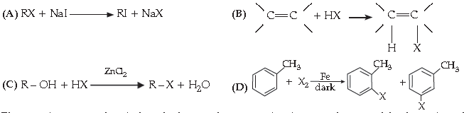 Sample Paper Class 12 Chemistry Term 1 Set B