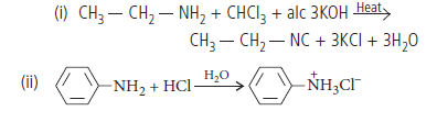 Exam Question for Class 12 Chemistry Chapter 13 Amines